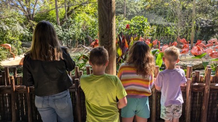 Dallas trip, Thanksgiving, plus ten zbytek